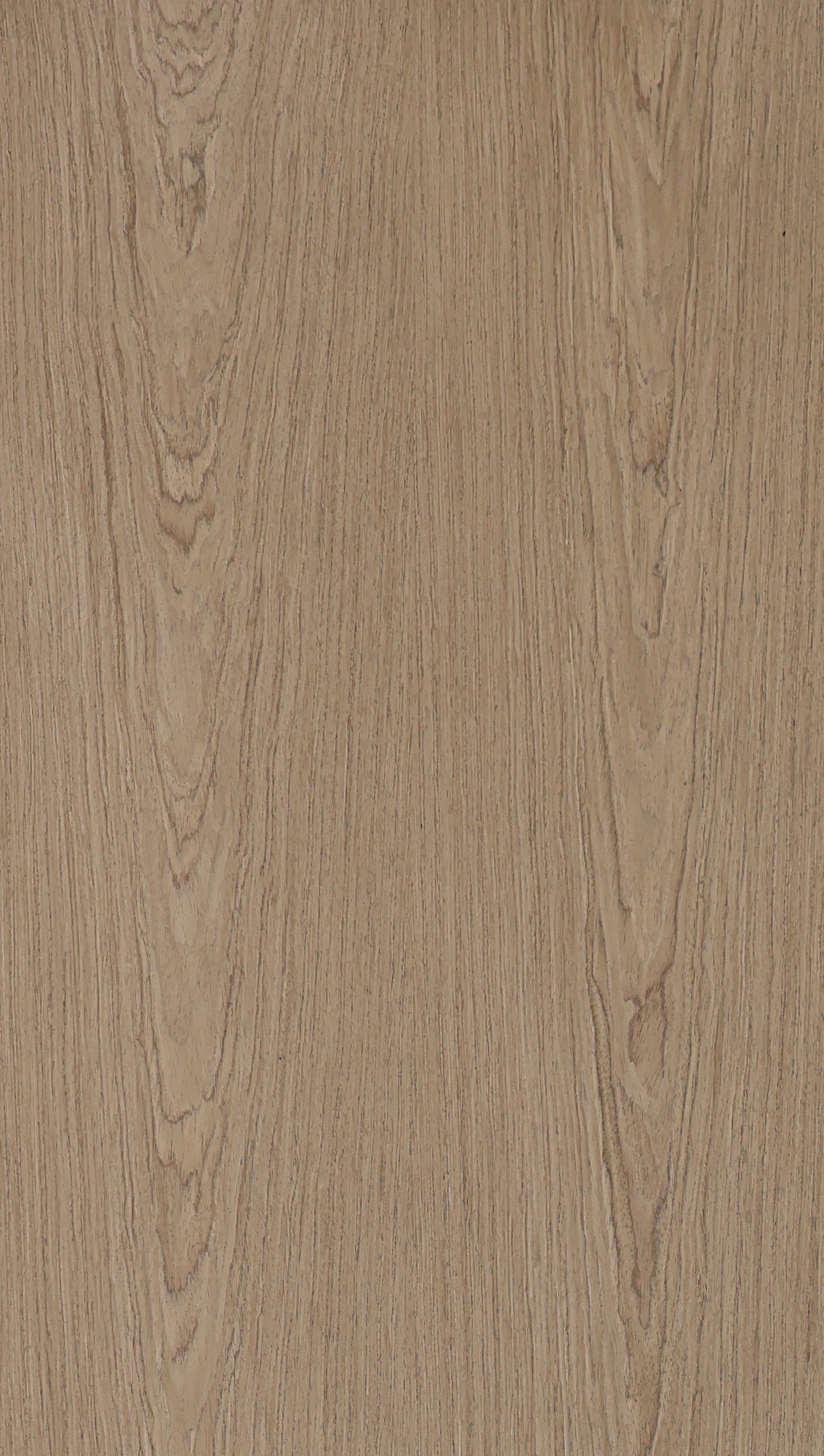 WALNUT#2446C