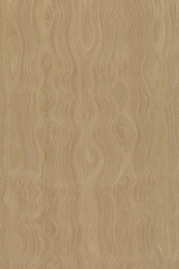 Maple Burl  Design Quarter Cut engineered wood veneer#1785N