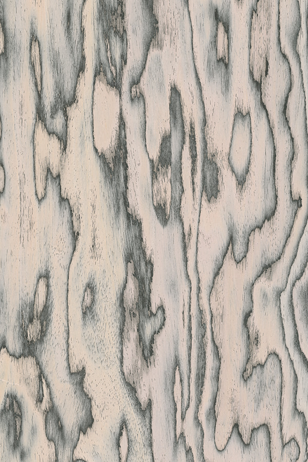 White Birch wood Quarter Cut engineered wood veneer