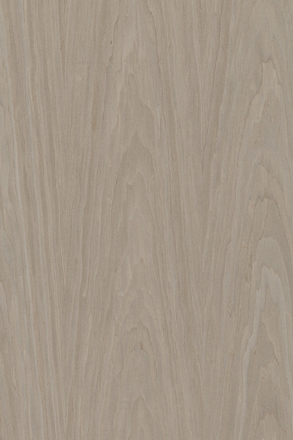 White Walnut Crown Cut engineered wood veneer WALNUT#1734C